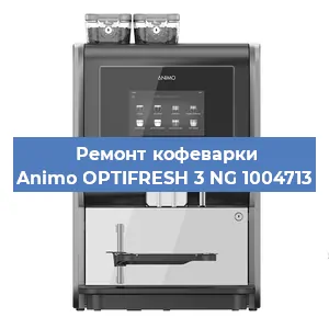 Чистка кофемашины Animo OPTIFRESH 3 NG 1004713 от кофейных масел в Москве